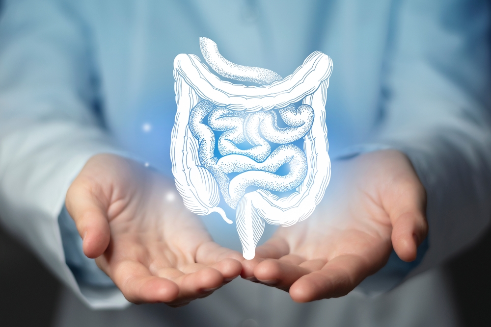 Intestine issues medical concept. Photo of female doctor, empty space. 
