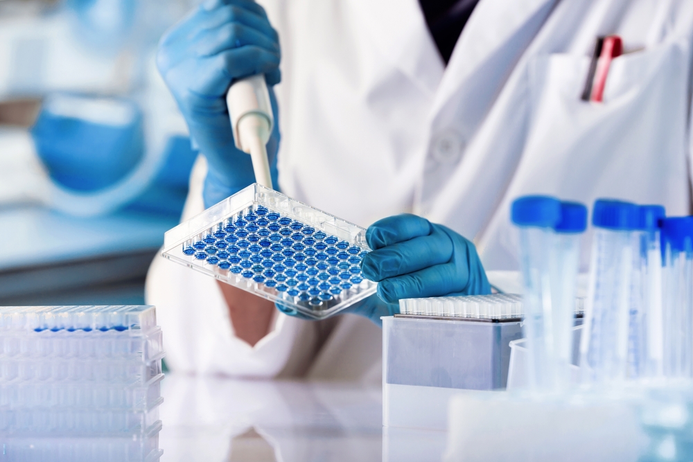 geneticist working with microplate for cells analysis in the genetic lab. Researcher working with samples of tissue culture in microplate in the genetics laboratory