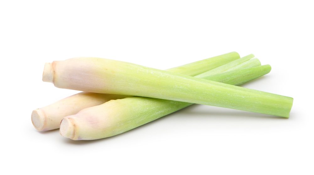 Fresh lemongrass isolated on white background. Clipping path
