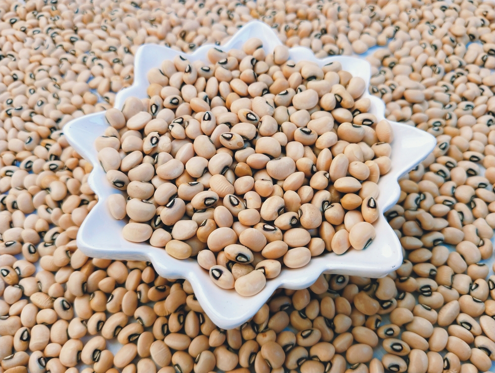Cowpea blackeyed pea bean seeds white lobia chawli Vigna unguiculata southern-pea China Pea, feijao frade, Bombay Cowpea Southern Peas Blackeyepeas niebe Crowder Peas California blackeyed caupi photo