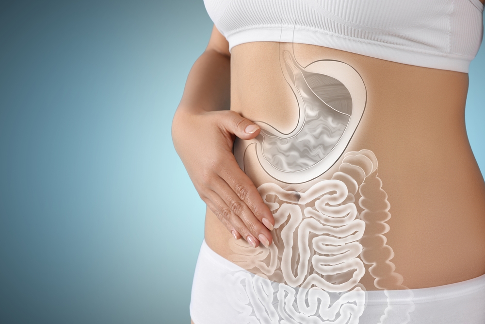 Woman with healthy digestive system on light blue background, closeup. Illustration of gastrointestinal tract
