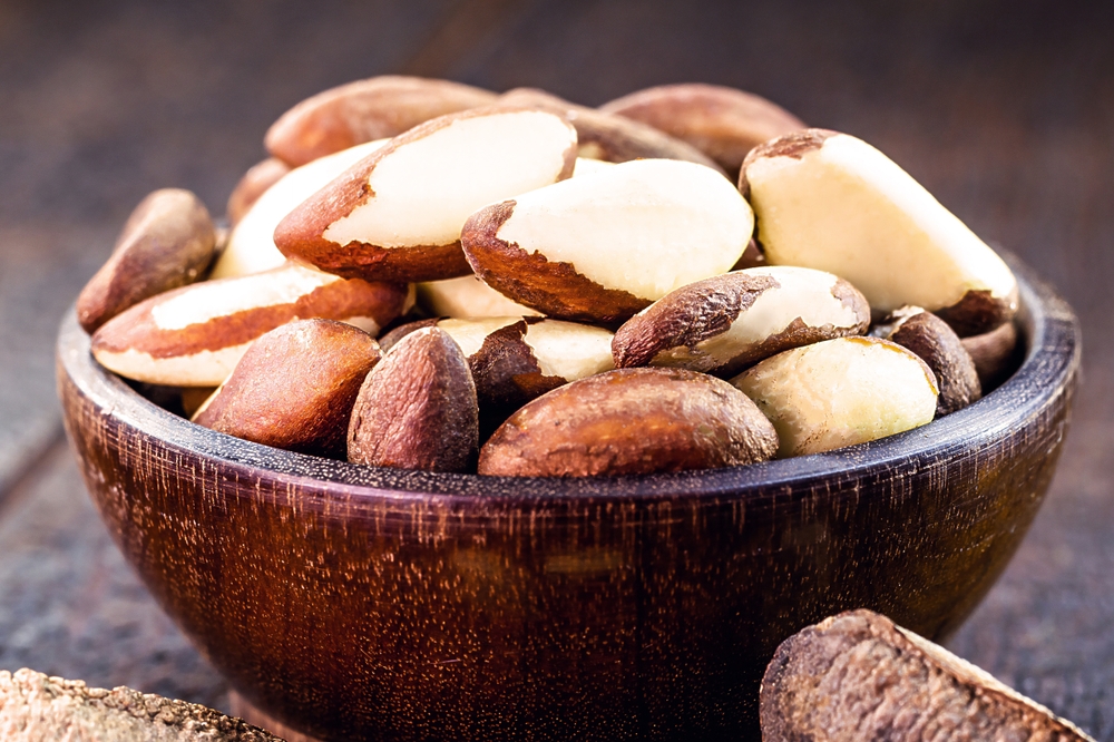 Brazil nuts, export product from the Amazon. Brazil nuts are called "castanha do pará" in Brazil and Latin America
