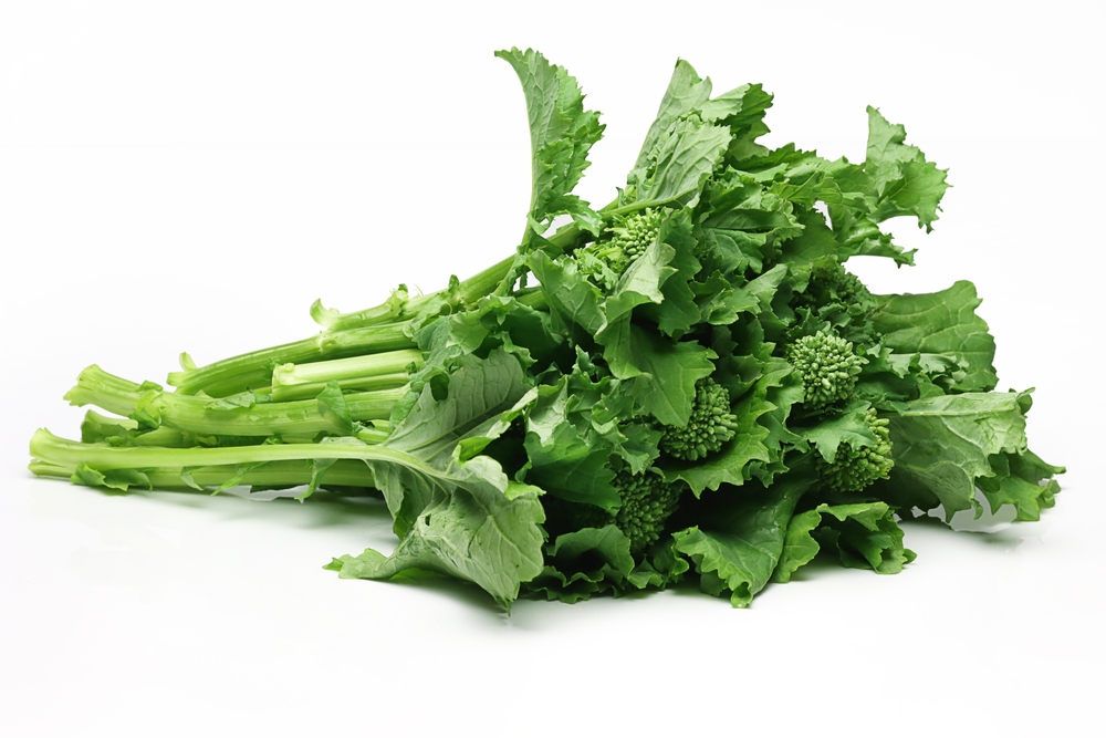 Broccoli Rabe Bunch on White