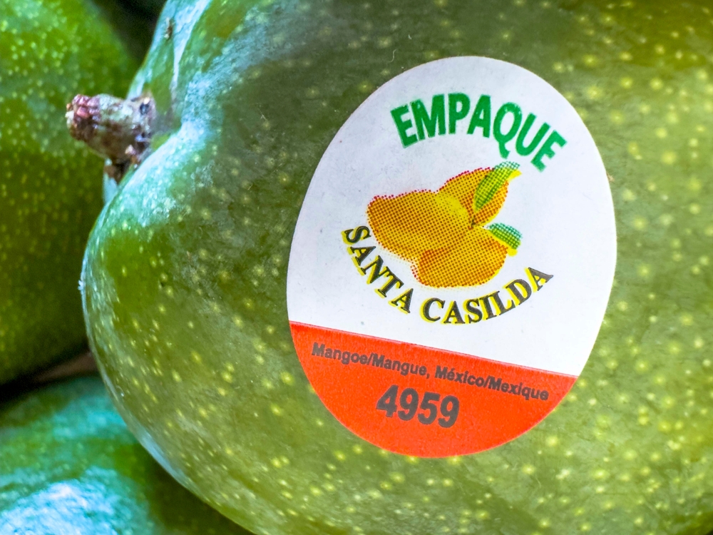 Calgary, Alberta, Canada. Jul 07, 2024.Close-up of a white sticker on a green mango. The sticker identifies the fruit from Mexico and lists a code.
