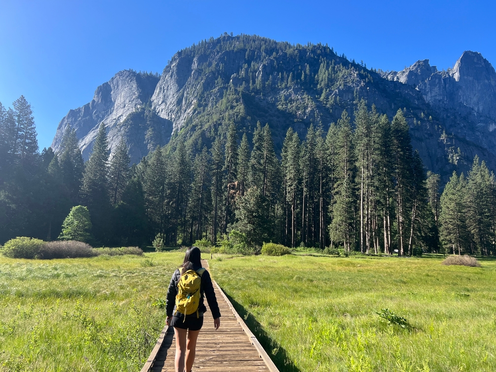 Yosemite National Park Boardwalk Hike Travel Beautiful Mountains Wandering