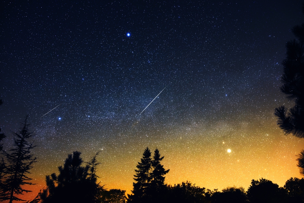 Milky Way stars with meteor shower trails and countryside tree silhouettes.