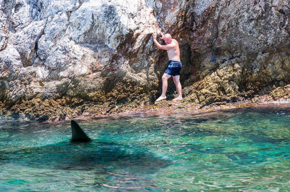 A man escaped from a shark and took shelter on the rocks - Man avoiding shark attacks