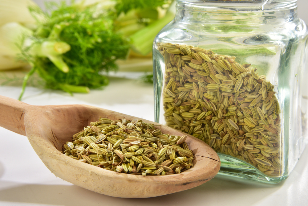 Fennel seeds in wooden spoon with glass vase close