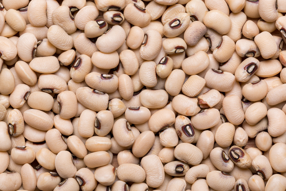 Top view and close up shot of Navy Bean, food background