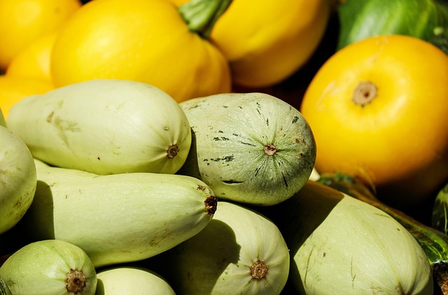 summer squash