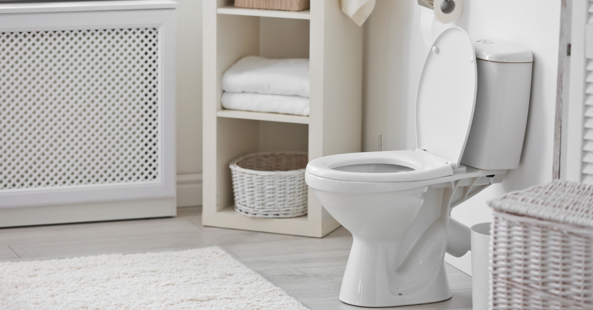 5 Creatures That Can Crawl In Through Your Toilet and How to Stop Them