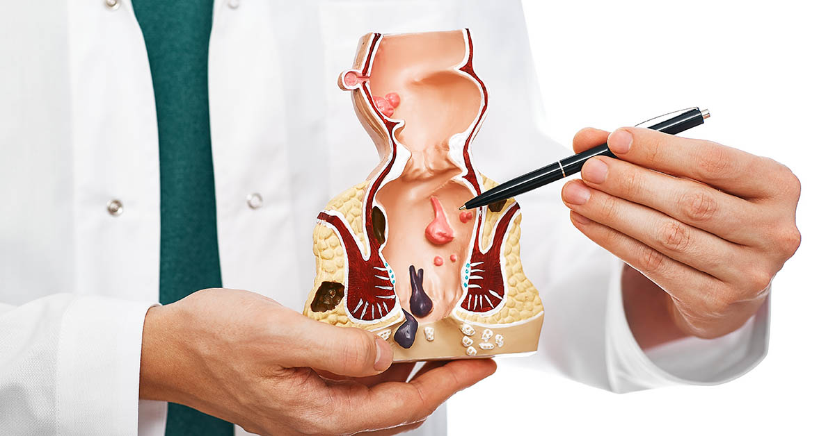 Scientists Propose the Anus May Have Developed From a Hole Used to Expel Sperm