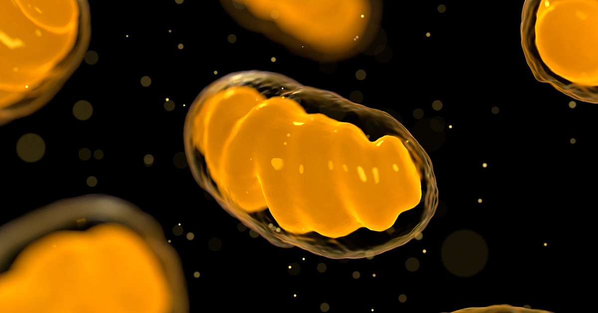 Mitochondria Transplants Could Revolutionize Disease Treatment and Increase Life Expectancy