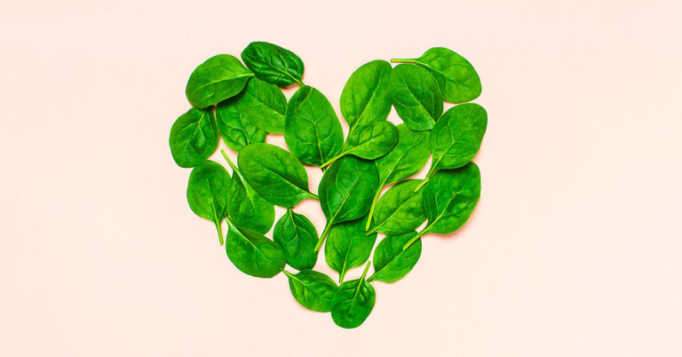 Researchers Grow Beating Human Heart Tissue Using Spinach Leaves - Featured image