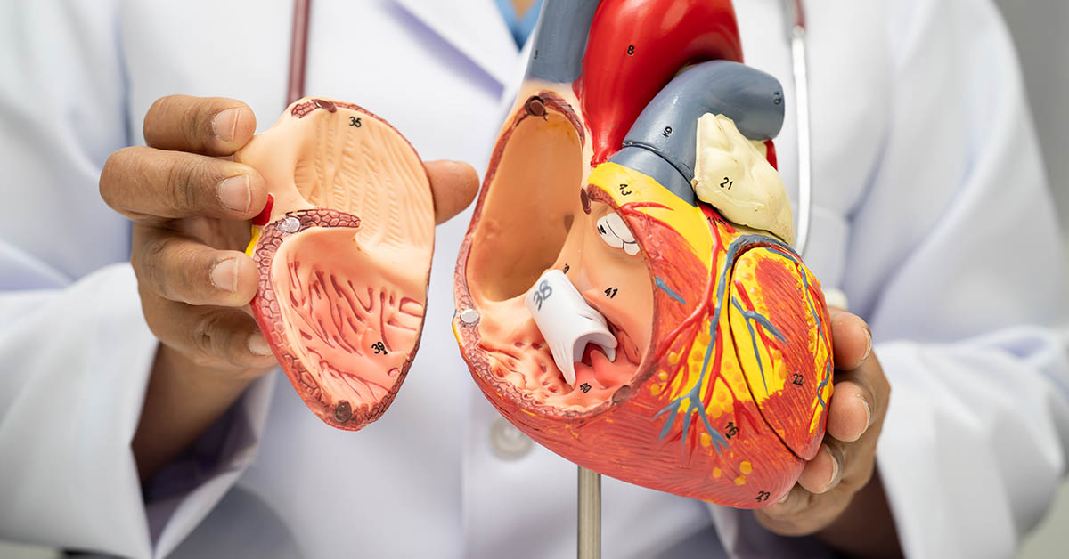 Study Reveals Crucial Heart Marker Linked to Ischemic Stroke and Dementia Risk