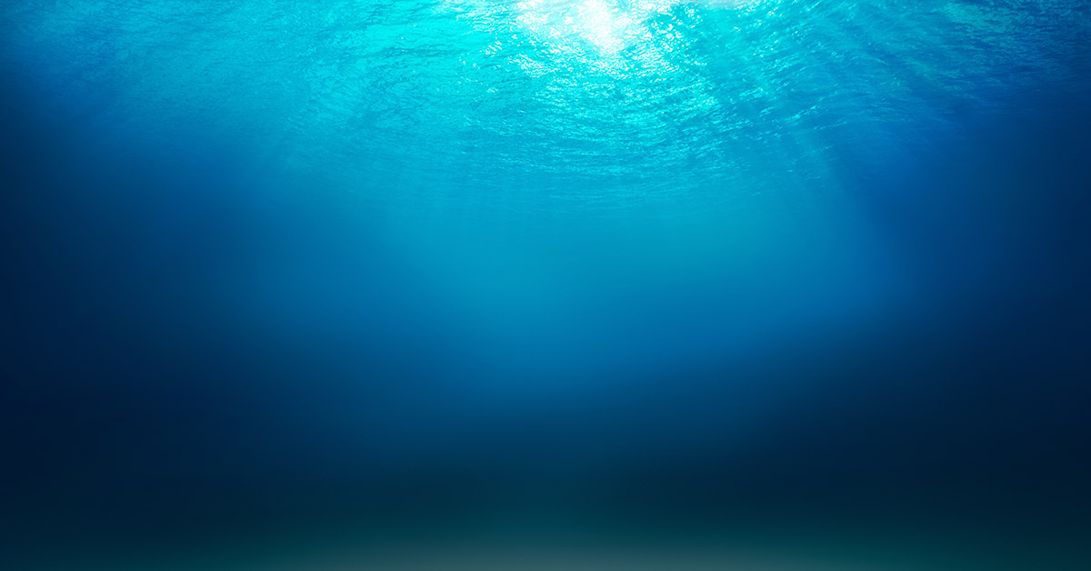 Eerie Perfect Circles Discovered on Ocean Floor Leave Scientists Baffled
