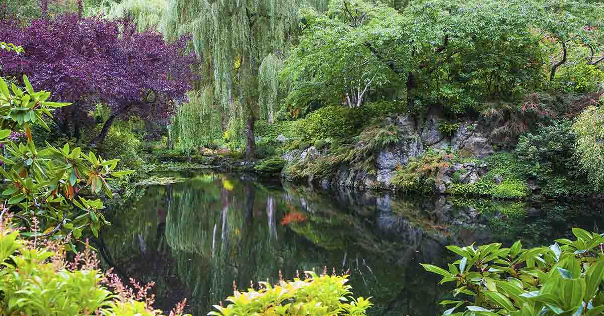Engineer Claims Garden of Eden May Be Hidden Beneath Famed Historic Site
