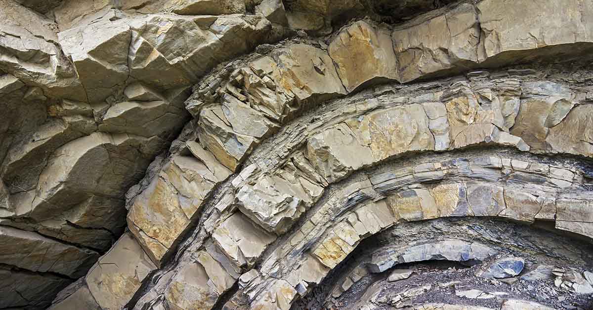 Scientists Uncover Mysterious Tunnels Belonging to an Unknown Ancient Lifeform
