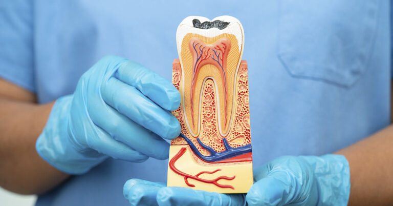 Goodbye Fillings? Teeth Have Been Successfully Grown in a Lab - Featured image