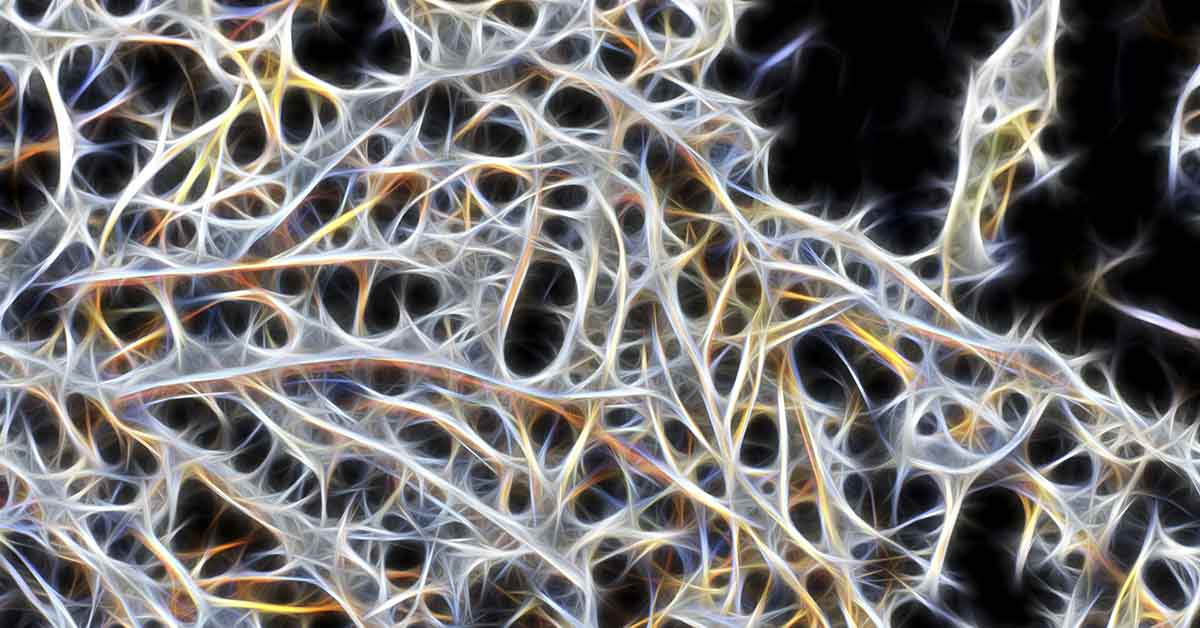 UCLA Discovers Groundbreaking Stroke Rehabilitation Drug That Reconnects Brain Pathways in Mice