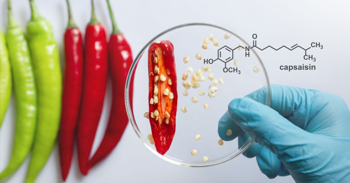 10 Natural Pain Killers That Actually Work