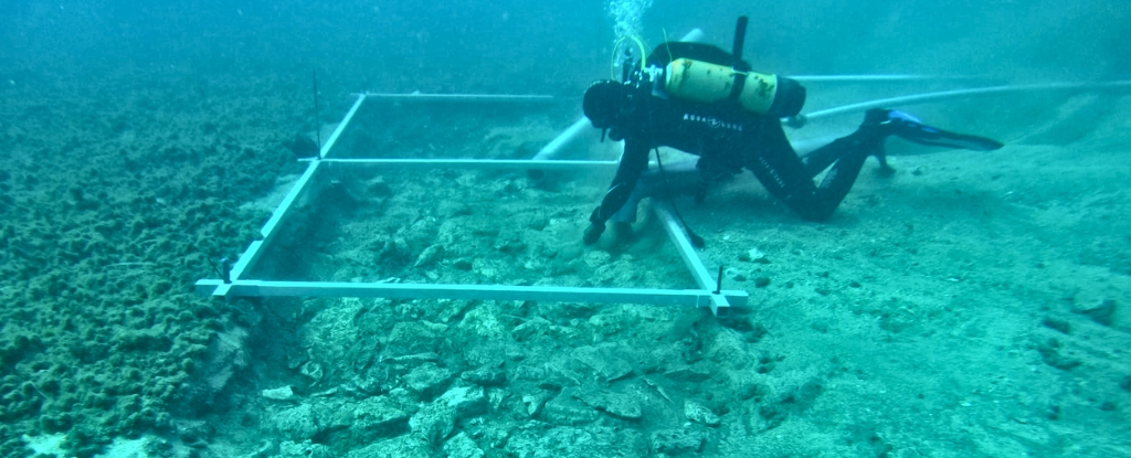 A diver investigating the underwater road off the island of Korčula