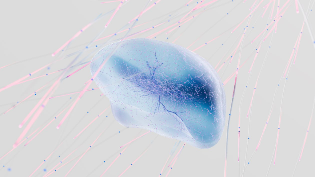 Neural network visualization showing brain activity patterns similar to those detected in patients conscious after death.