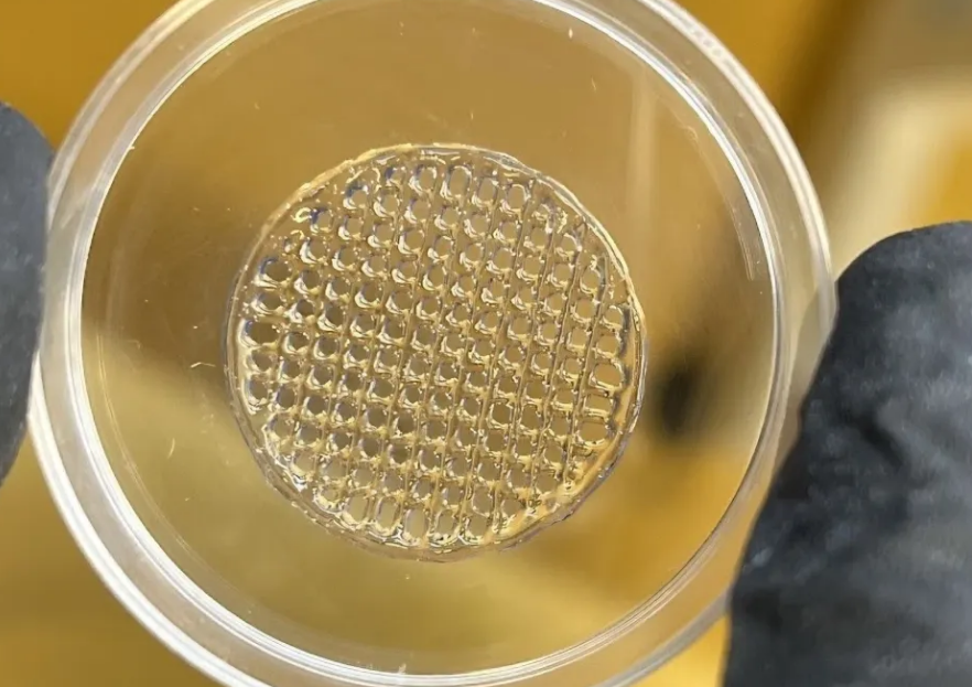 the 3d_printed skin