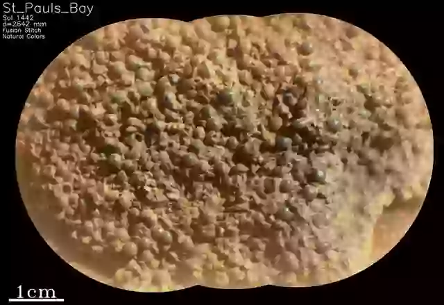 Close up image of St. Pauls Bay rock, taken from Mars Rover Perseverance.