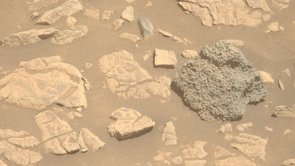 Image of St. Pauls Bay rock where it was found, taken from Mars Rover Perseverance.
