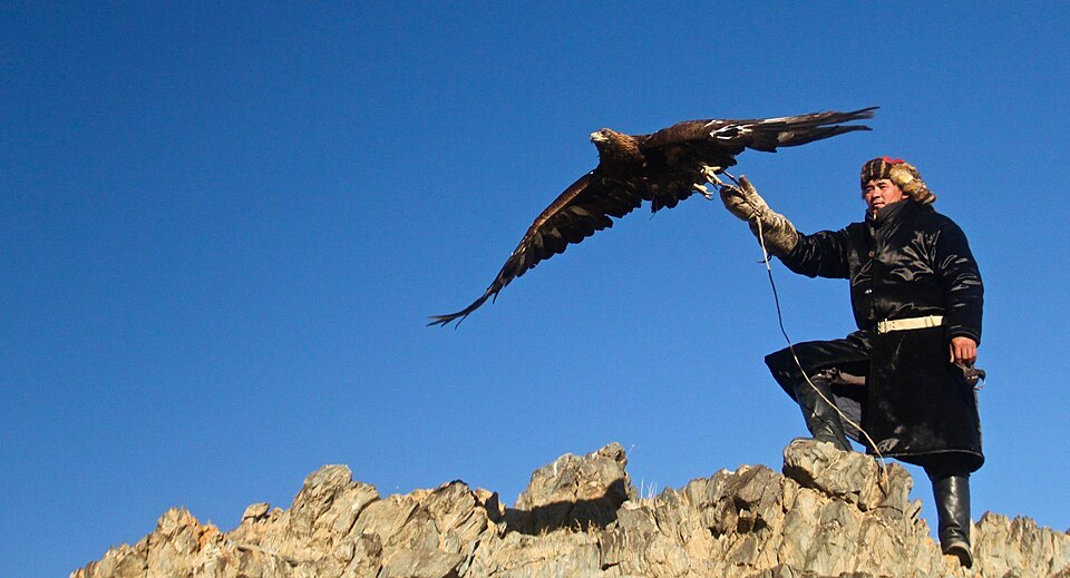Golden eagle with outstretched wings in flight against a clear blue sky, with a handler in traditional Kyrgyz clothing standing on rocky terrain