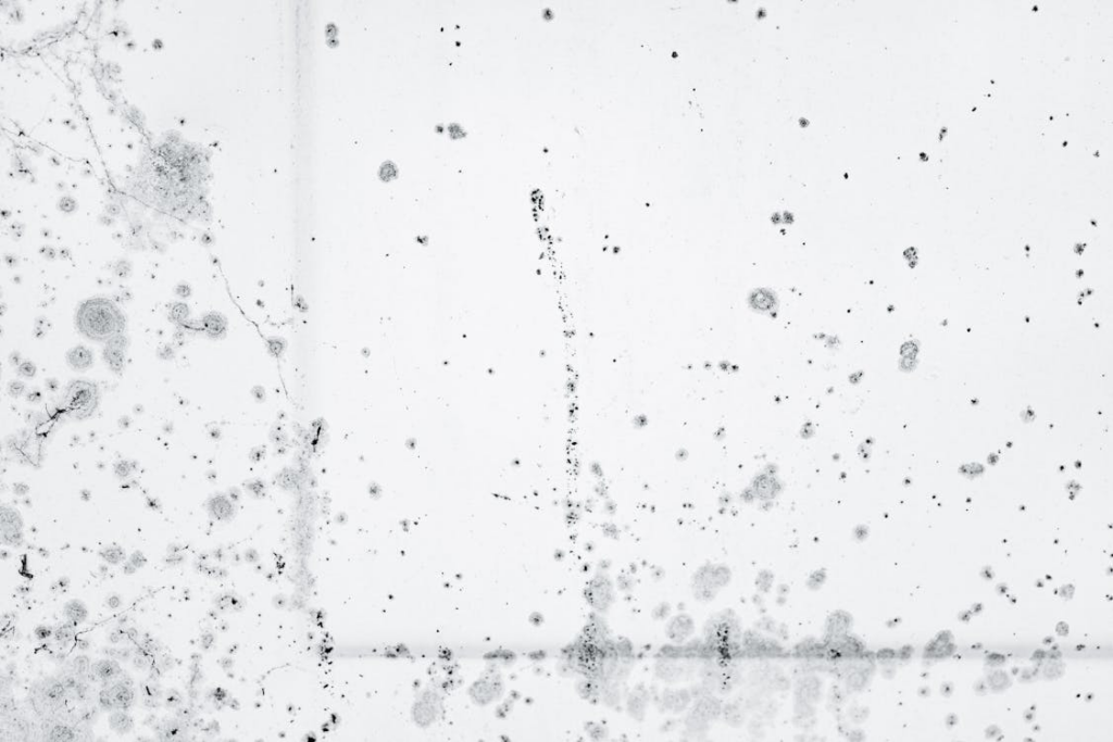 Abundance of Stains