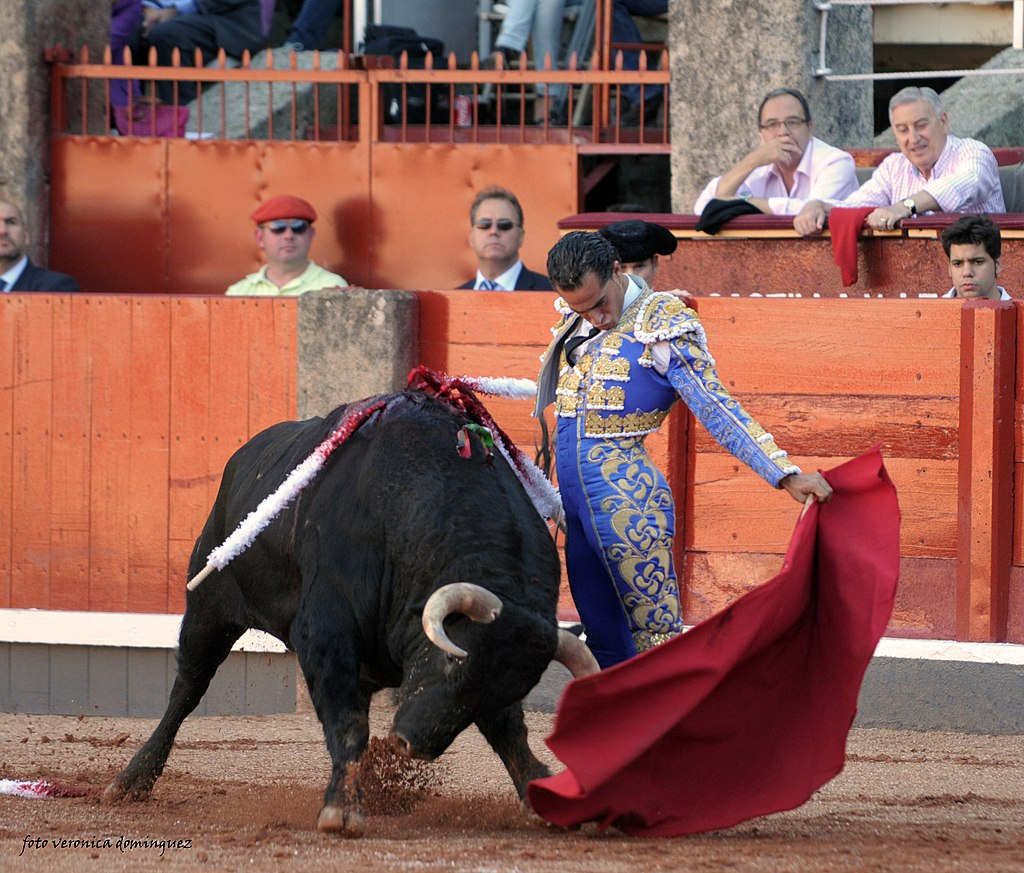 Iván Fandiño waving his cape while being charged by a bull in Salamanca, 2013.