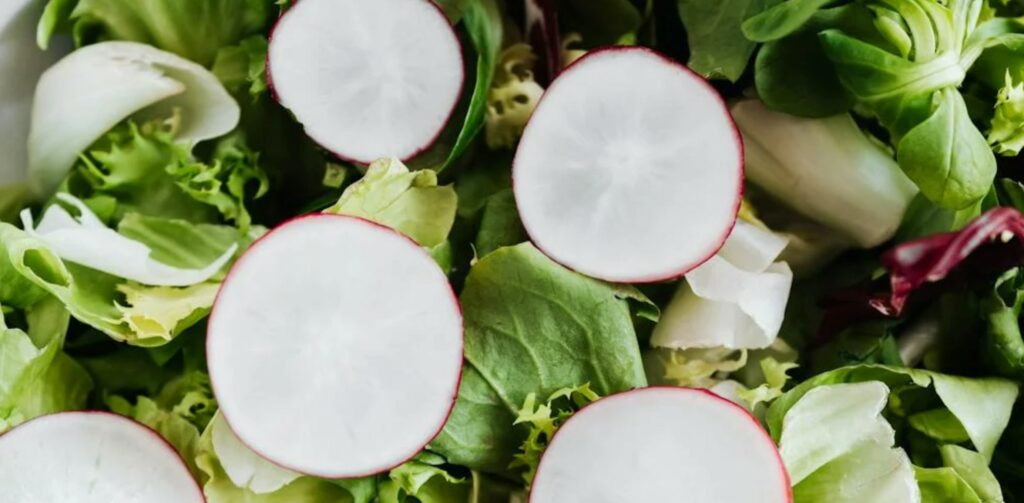 salad with radishes
