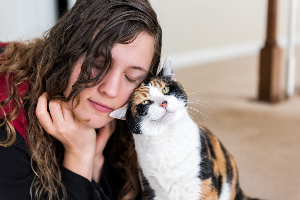 Young woman bonding with calico cat bumping rubbing bunting heads, friends friendship companion pet happy affection bonding face expression, cute adorable
