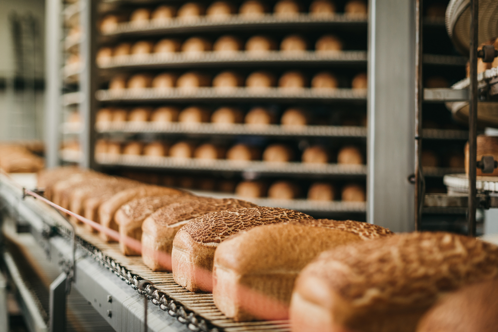 Loafs of bread in a bakery on an automated conveyor belt
