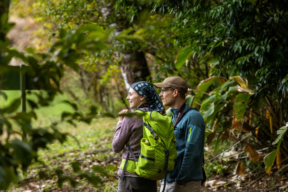 Monteverde, Costa Rica - May 6, 2023: Hikers enjoying a day in nature in the Monteverde Cloud Forest Biological Reserve in Costa Rica
