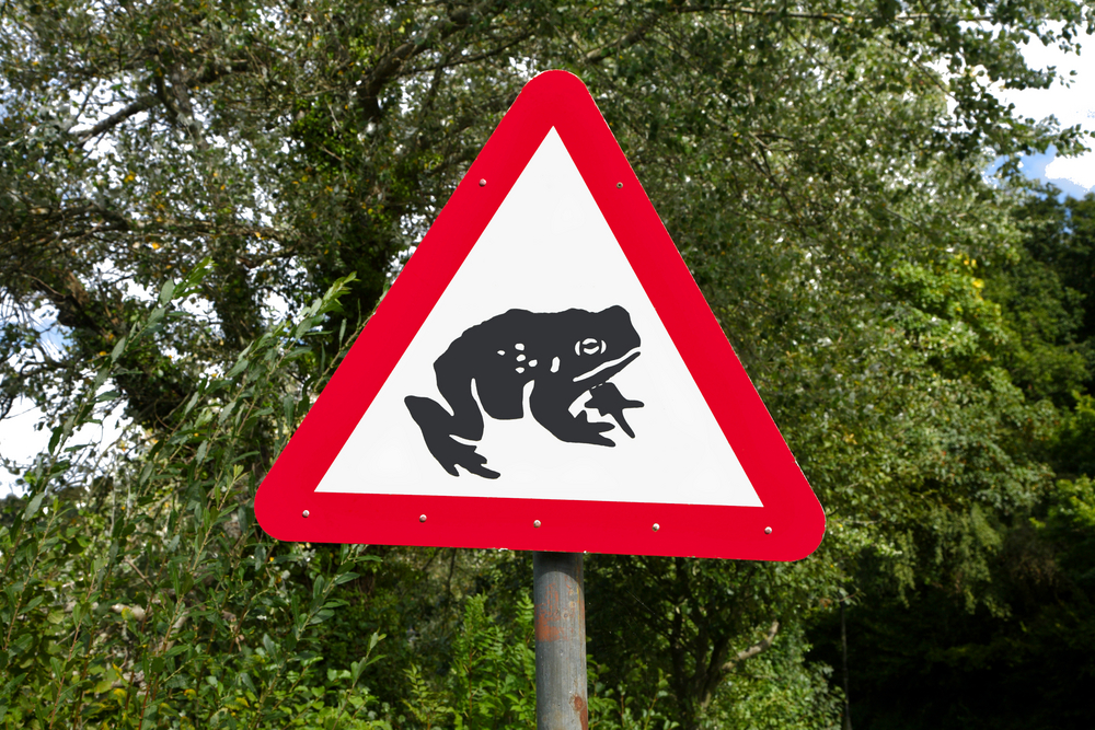 Toads crossing the road warning sign in Llandrindod Wells, Wales, UK.