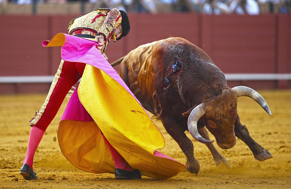 SPANISH BULLFIGHT