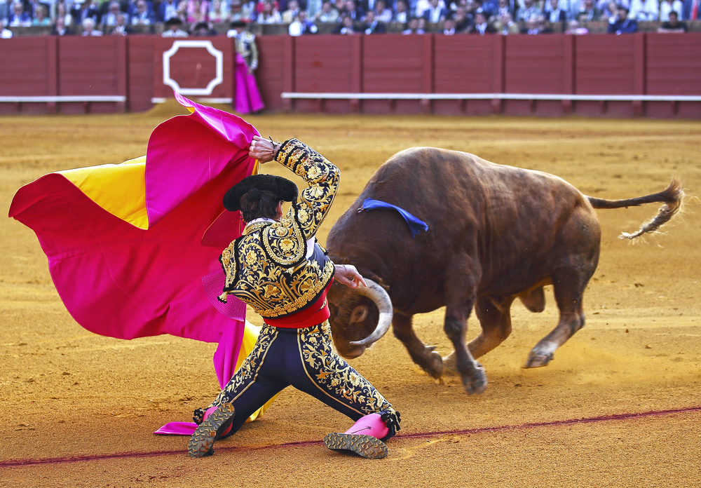 spanish bullfight