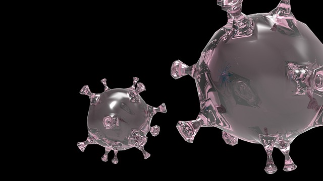 cells