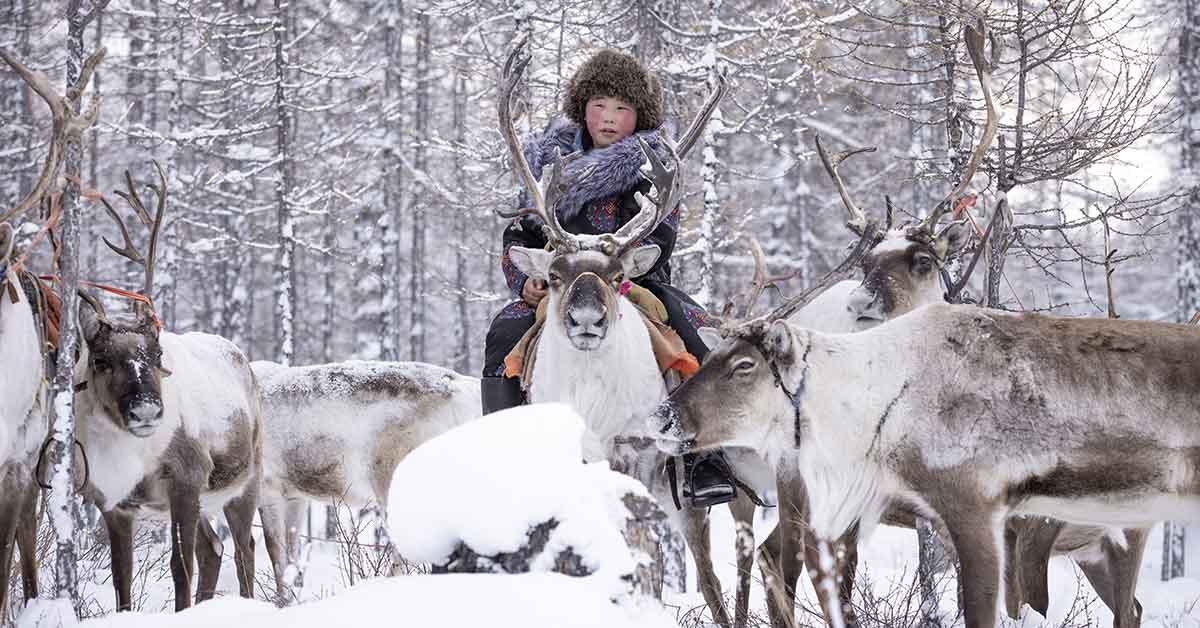 Discover the Dukha: Mongolia’s Reindeer-Riding Nomads Living in Seclusion