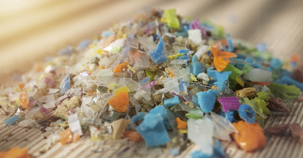 6 Steps You Can Take to Minimize Microplastics in Your Body