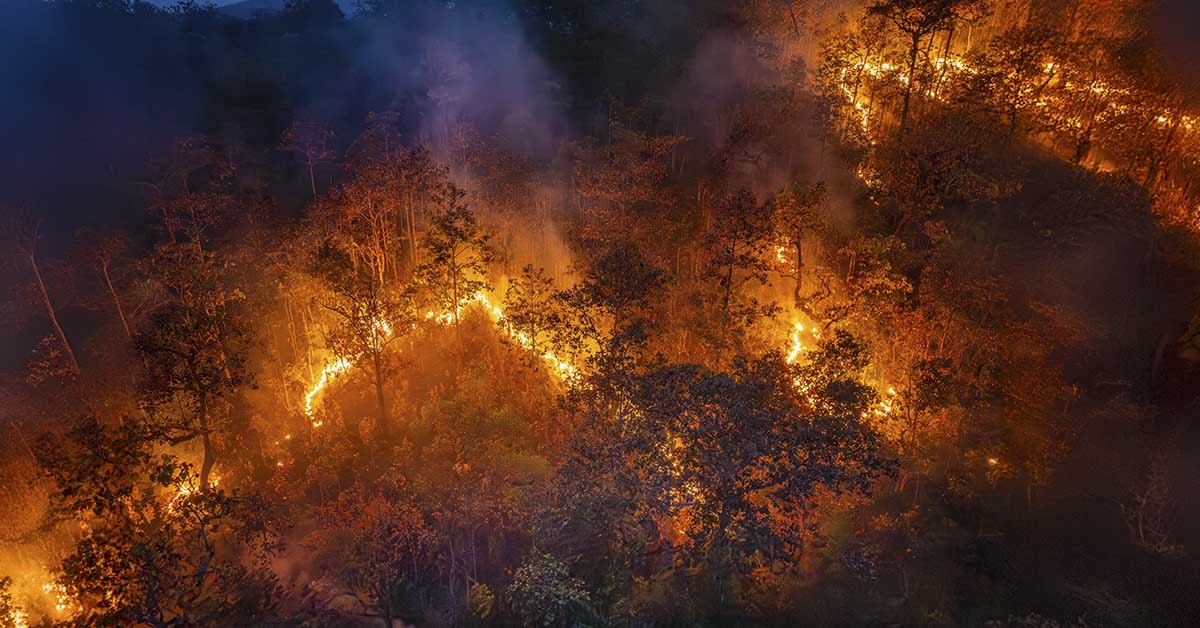 U.S. Wildfire Season Set to Intensify as Heat and Drought Conditions Worsen