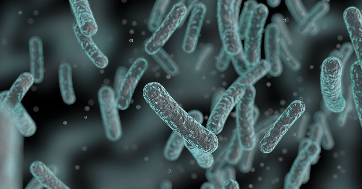 How an Imbalance in Bacteria Might Influence Multiple Sclerosis and Predict Its Severity