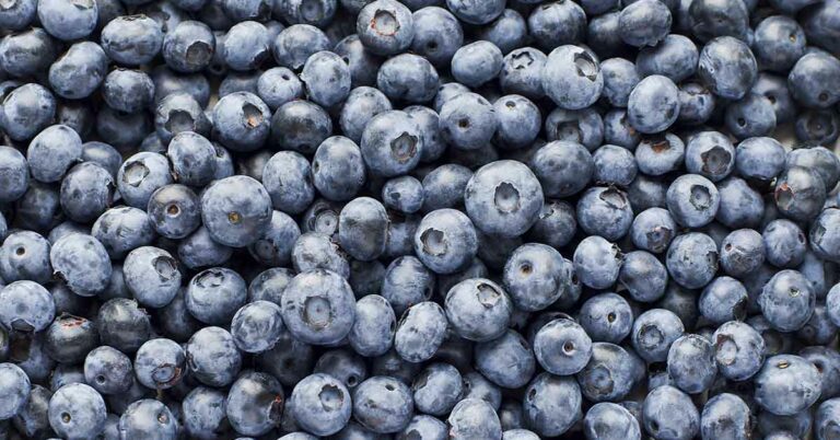 6 Things That Will Happen to You If You Eat Blueberries Daily, According to a Dietitian - Featured image