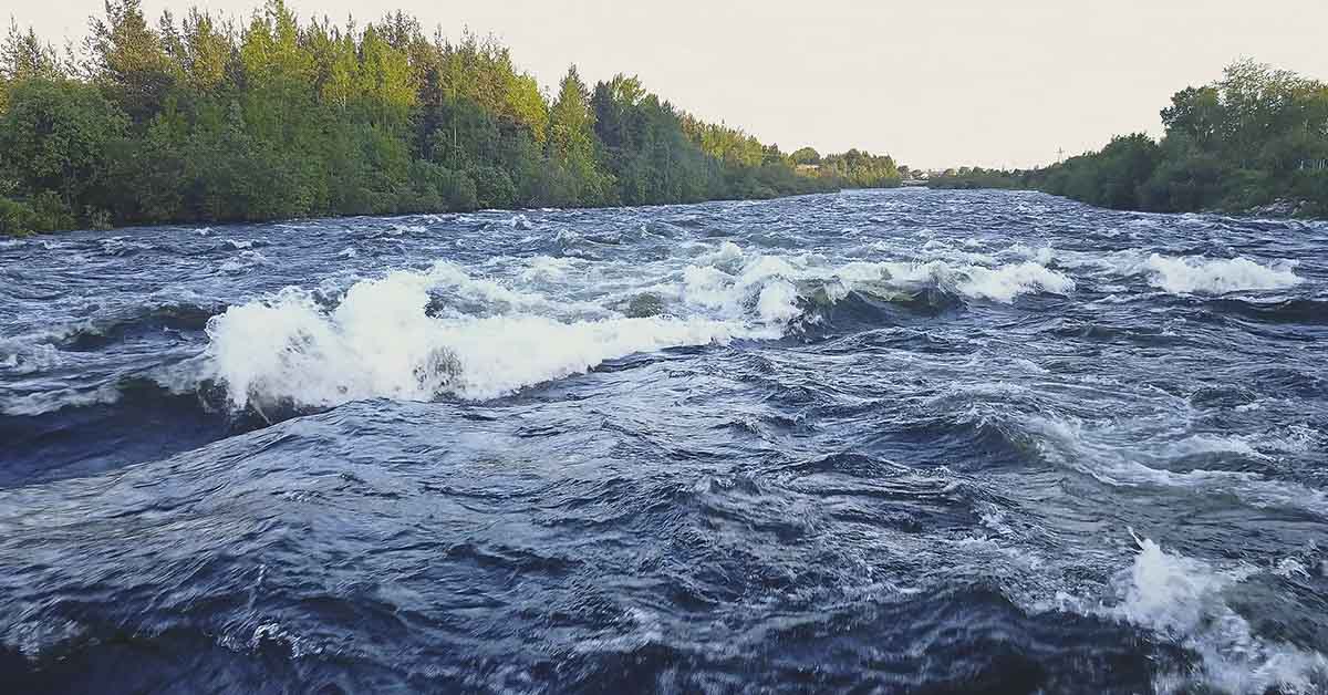 Medics Mistook Teen for Dead After River Rescue—Then the Unexpected Happened