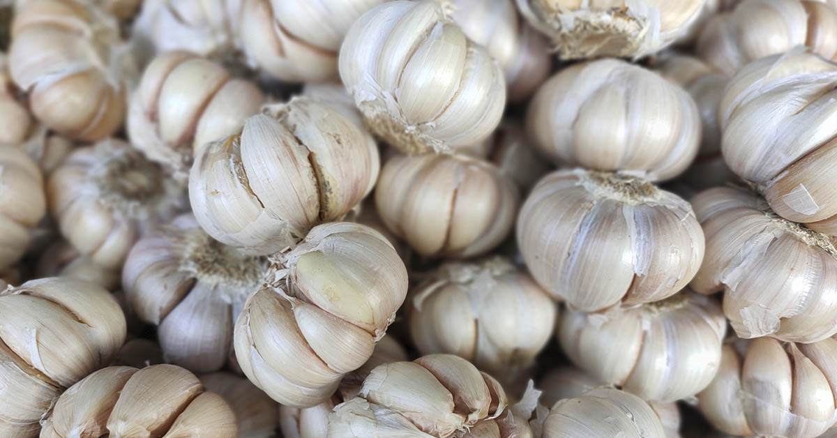 Garlic and Blood Clots: Natural Support or Just Health Hype?