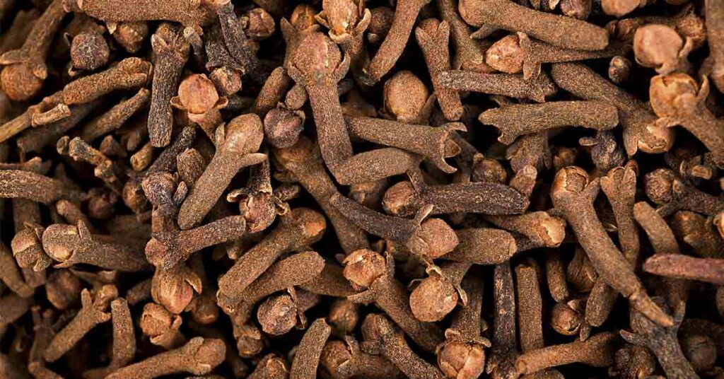 The Ultimate Guide to Cloves: Benefits, Uses, and How They Work - Featured image