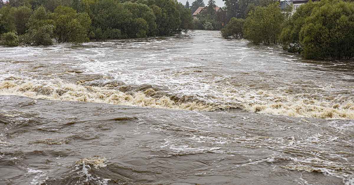 Australia Flood Disaster: 4 Confirmed Dead, Authorities Report